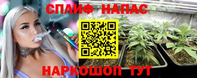 mdpv Гусиноозёрск
