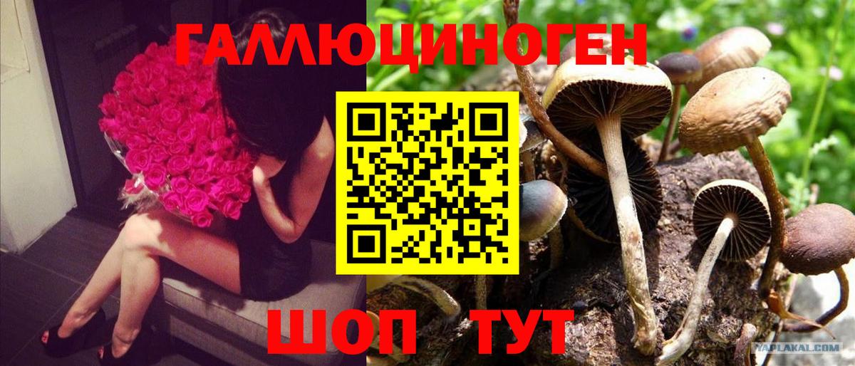 Галлюциногенные грибы MAGIC MUSHROOMS Нефтеюганск